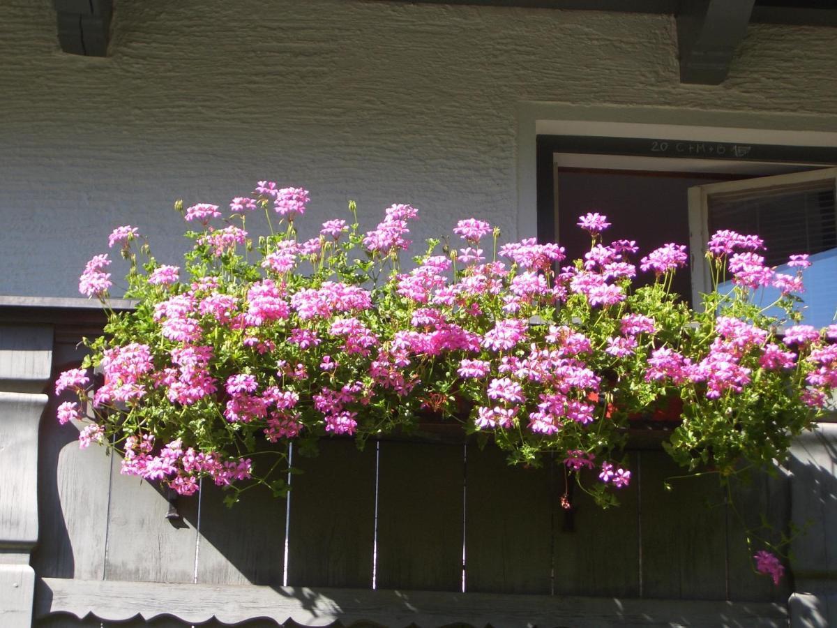Meckyheim Apartment Mayrhofen Bagian luar foto