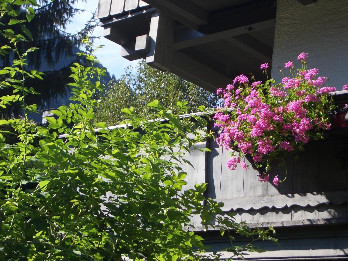 Meckyheim Apartment Mayrhofen Bagian luar foto